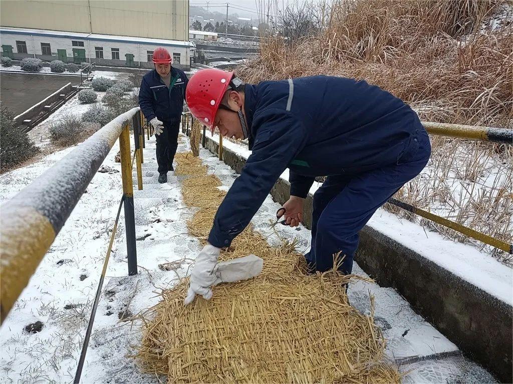 澳门四不像论坛